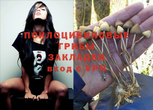 мяу мяу кристалл Новокубанск
