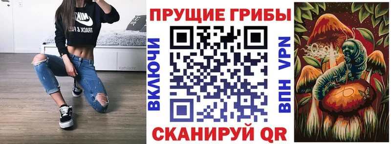 Псилоцибиновые грибы мухоморы  Купить  Дигора 