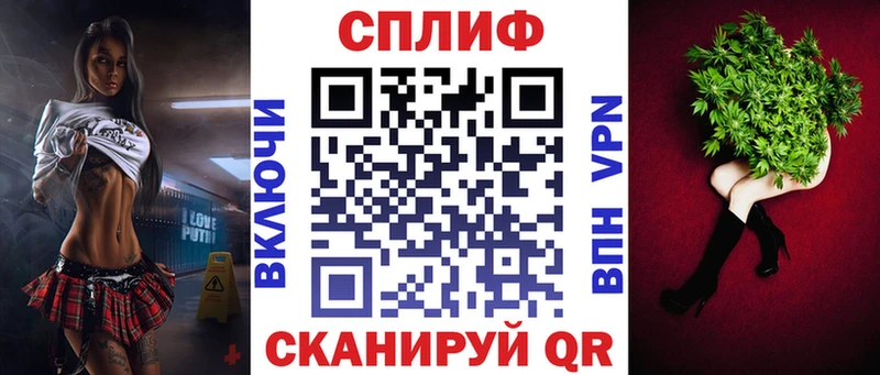 Купить закладки  Дигора  Бошки Шишки MAZAR 